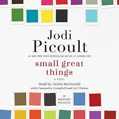 AudioBook - Small Great Things A Novel By: Jodi Picoult