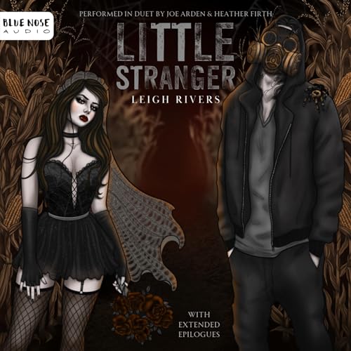 AudioBook - Little Stranger By: Leigh Rivers