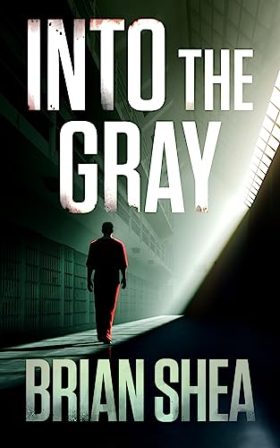 Into the Gray (2024) by Brian Shea