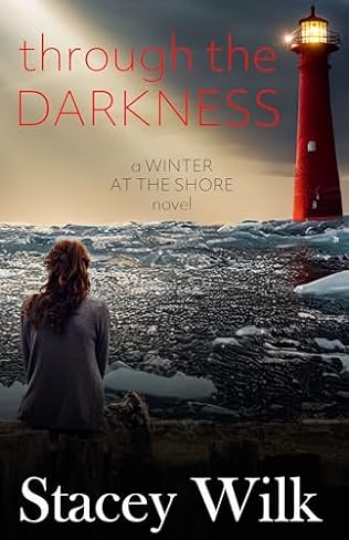 Through the Darkness (2020) by Stacey Wilk