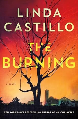 The Burning (2024) by Linda Castillo