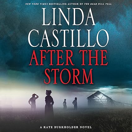 AudioBook - After the Storm (2016)by Linda Castillo