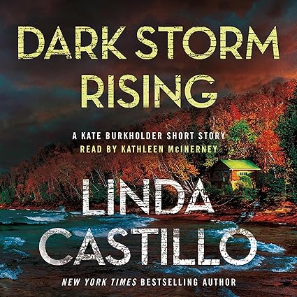 AudioBook - Dark Storm Rising (2024)by Linda Castillo