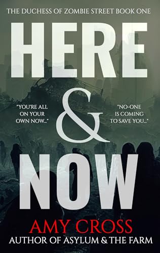 Here & Now (2024) by Amy Cross