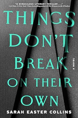 Things Don't Break on Their Own (2024) by Sarah Easter Collins