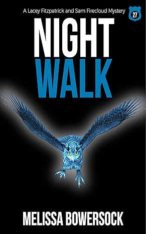 Night Walk (2020)by Melissa Bowersock