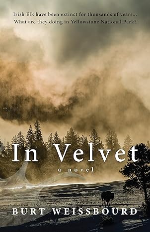 In Velvet(2021)by Burt Weissbourd