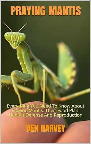 PRAYING MANTIS(2021)by BEN HARVEY