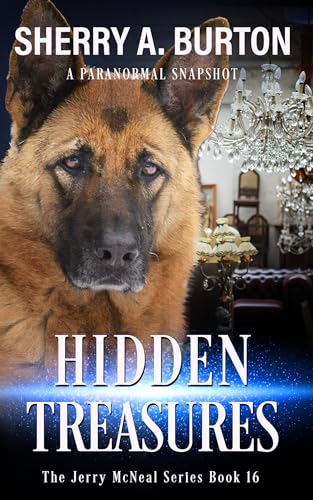 Hidden Treasures (2024)by Sherry A Burton