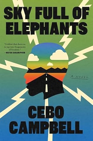 Sky Full of Elephants (2024) by Cebo Campbell