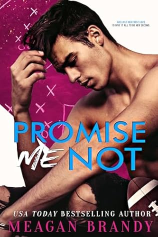 Promise Me Not (2024) by Meagan Brandy