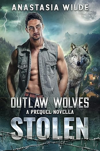 Stolen (2022)by Anastasia Wilde