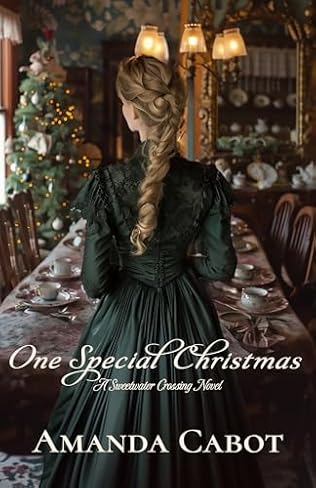 One Special Christmas (2024) by Amanda Cabot