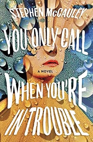 You Only Call When You're in Trouble (2024) by Stephen McCauley