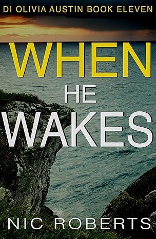 When He Wakes (2022)by Nic Roberts