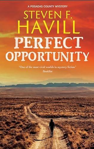 Perfect Opportunity (2024) by Steven F Havill